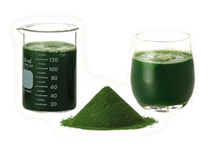 Young Barley Powder
